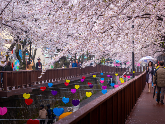 Jinhae, South Korea