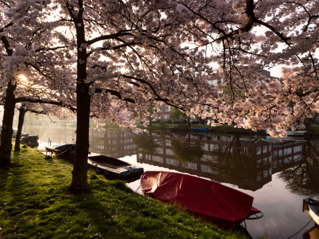 Amsterdam, Netherlands