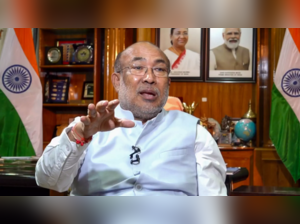 Manipur chief minister N Biren Singh (PTI Image)