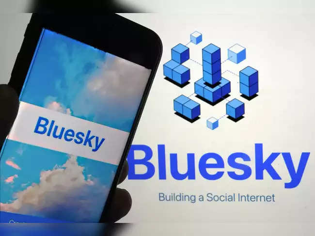 bluesky-attracts-millions-as-users-leave-musks-x-after-trump-win.