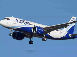 Indigo, Spicejet and Delhi International Airport Limited caution passengers about flight delays: Read advisory