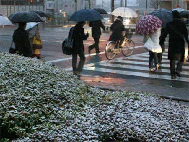 Snow in Tokyo