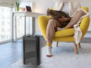 Room heater