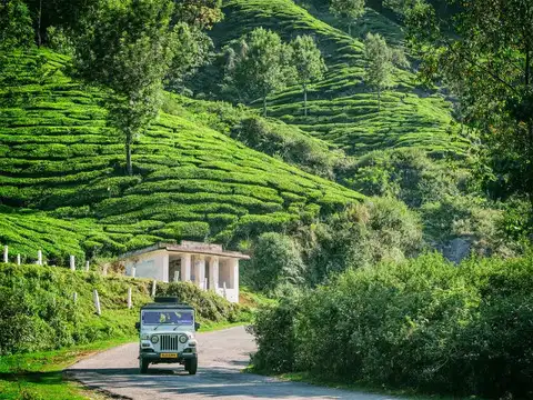 Munnar, Kerala
