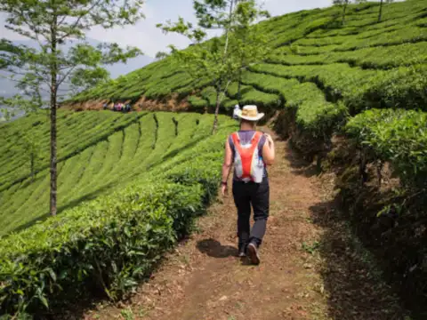 Munnar