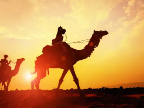 Desert Safari &ndash; Jaisalmer, Rajasthan