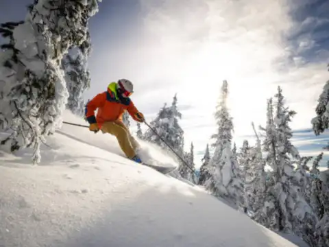 Skiing &ndash; Auli, Uttarakhand