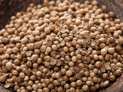 Coriander seeds for weight management