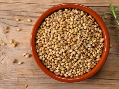 Coriander tea for digestion