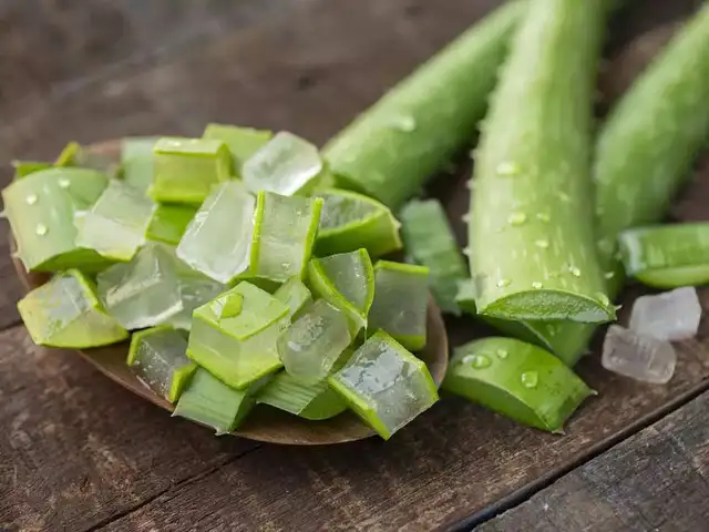 Store in an air-tight container - How to make Aloe Vera gel at home: 6 easy  steps for winter skin care