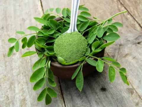 Add moringa to your diet