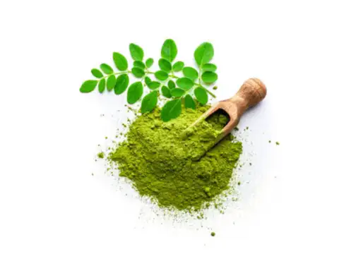Moringa for hair growth tonic