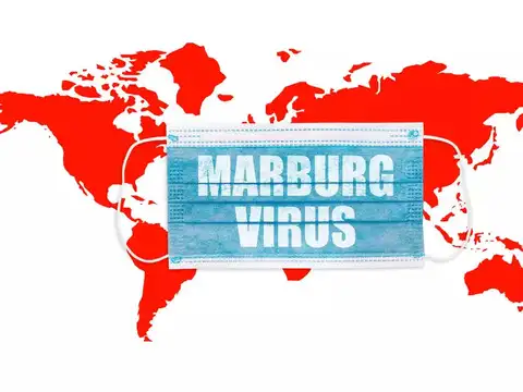 Origin and history of the virus