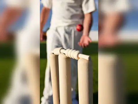 Lessons from Cricket