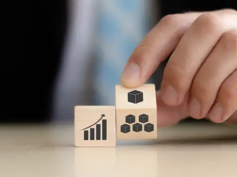 LG Electronics India IPO Risks