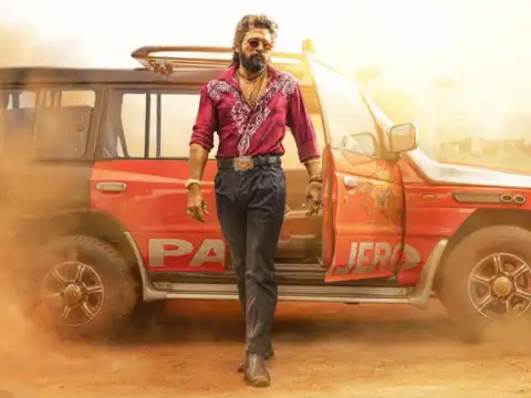 How much does Allu Arjun earn from acting and Pushpa 2?