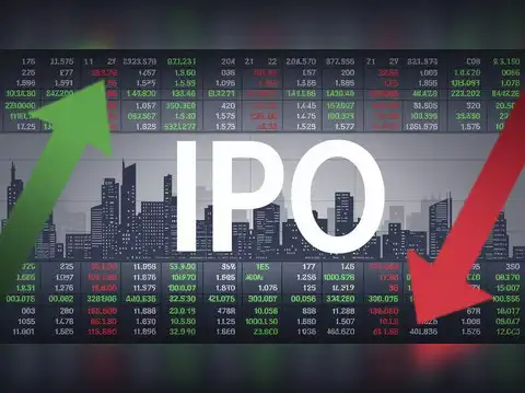 International Gemmological Institute IPO size