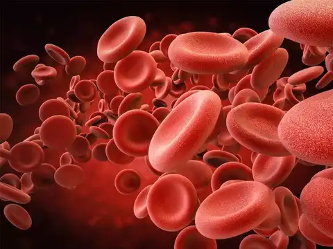 Boosts blood circulation