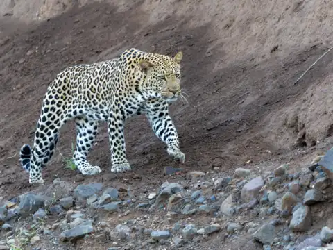 Nanda Devi National Park, Uttarakhand