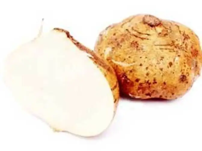 Jicama aka shankalu How did it land up in Eastern India? The Economic Times