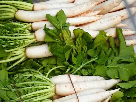 Detoxifies the body