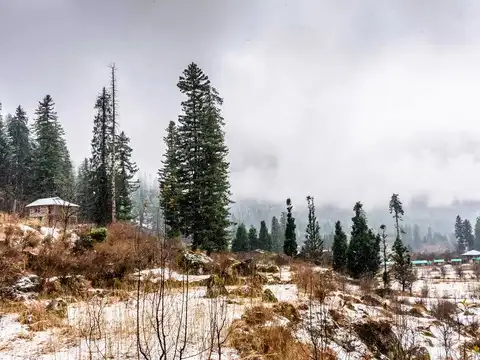 Tosh, Himachal Pradesh 