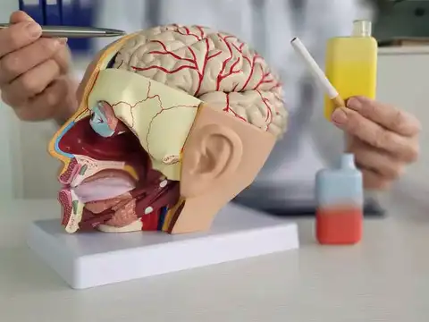 Mental health effects