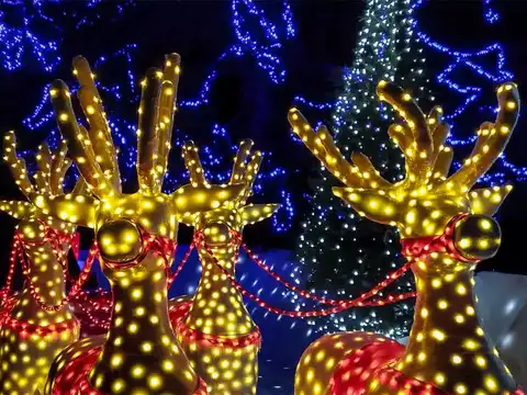 Lawn decorations