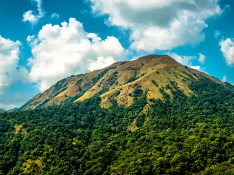 Western Ghats: Nature&rsquo;s masterpiece