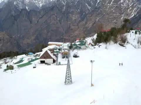 Auli