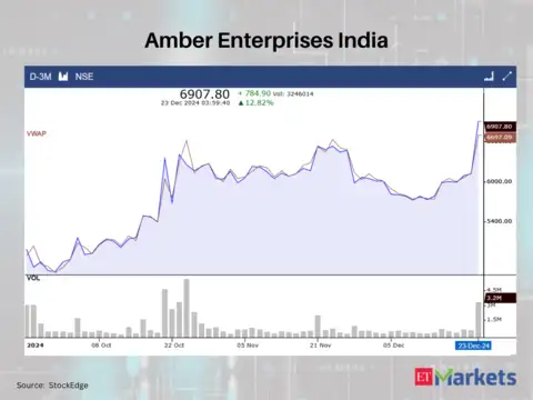 Amber Enterprises India