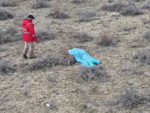 Azerbaijan Plane Crash: In pictures