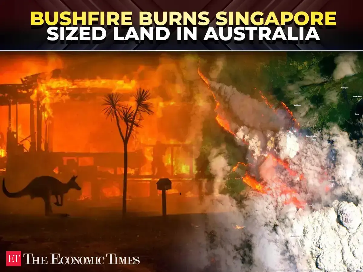 Australia's bushfire burns area the ‘size of Singapore’ as firefighters ...