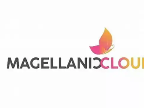 Magellanic Cloud