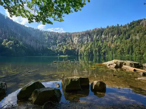Black Forest, Germany