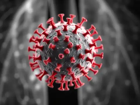 What is the HMPV virus?