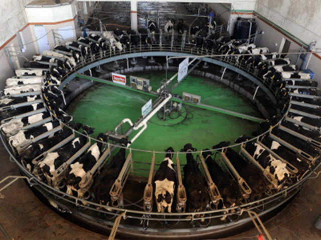 Drive up standards across India's dairy sector