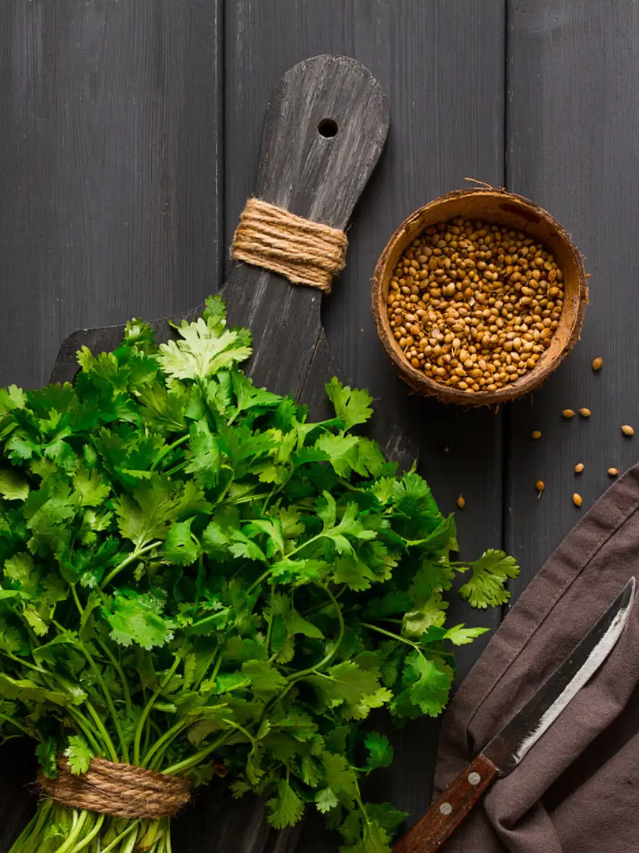 8 surprising benefits of cooking with coriander leaves | EconomicTimes