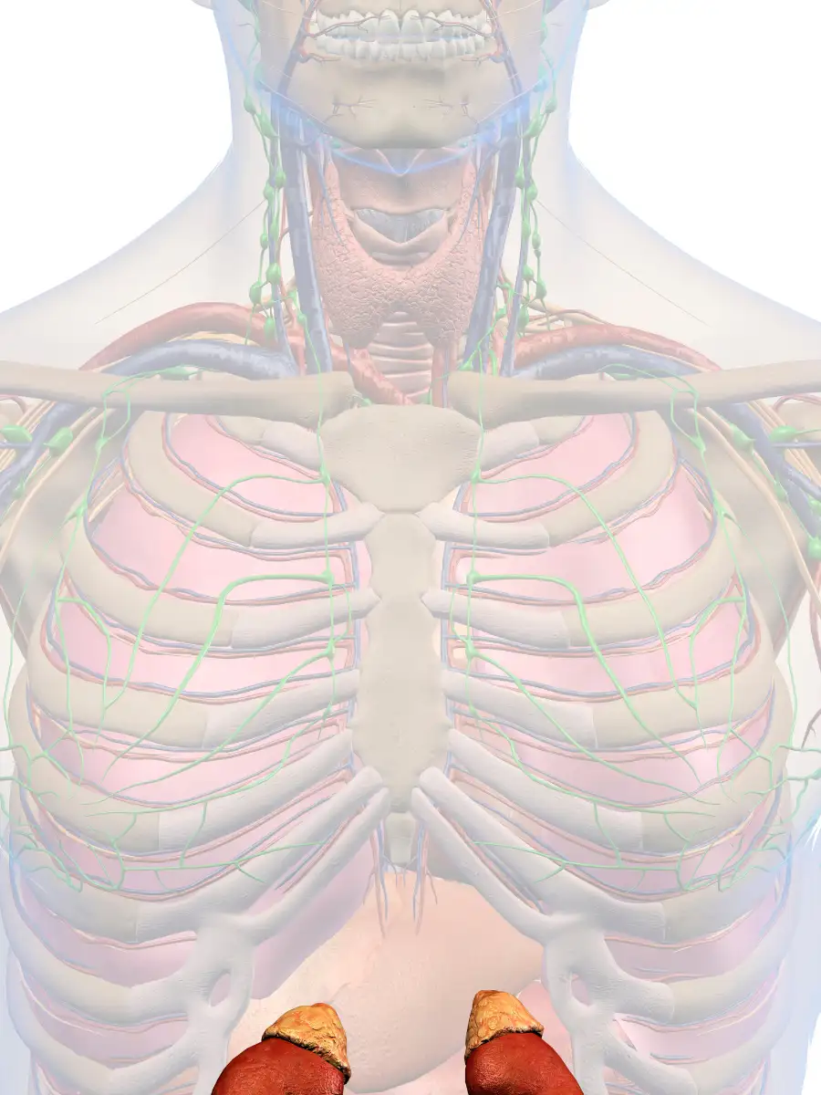 ​8 must-know tips to protect your kidneys for life​