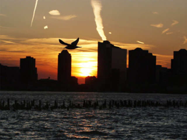 A seagull flies over the Hudson River
