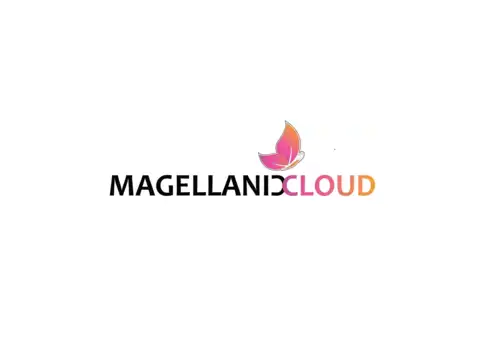 Magellanic Cloud