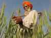 Outlook on wheat by Ajay Goyal, Shivaji Flour Mills