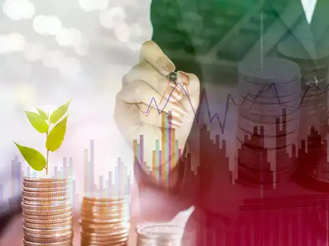 Fundamental & Liquidity Factors