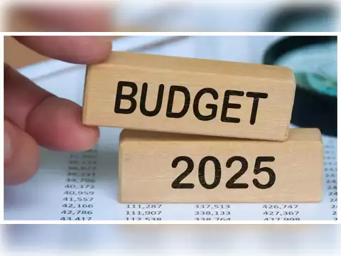 Budget 2025 - A year for asset allocation