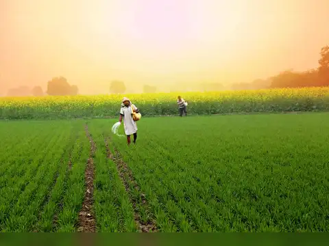 Agriculture stocks