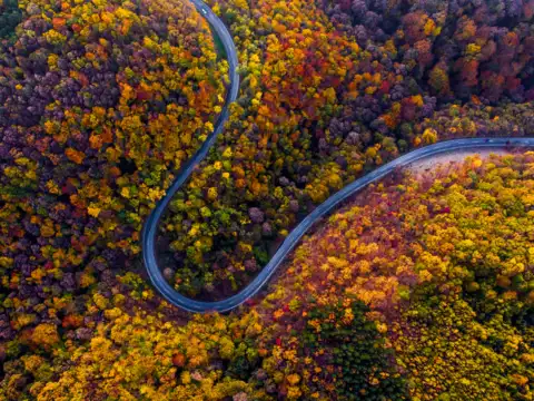 Blue Ridge Parkway