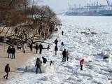 Frozen banks of the river Elbe