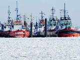 Tug boats in the harbour of Hamburg