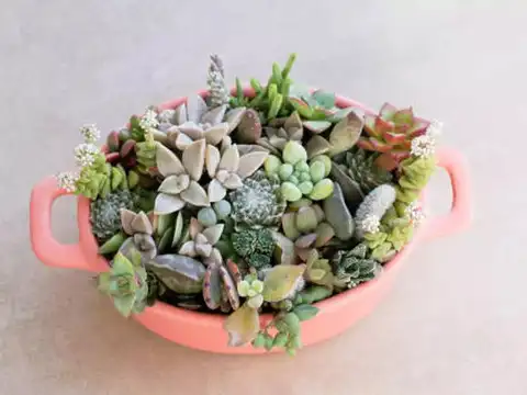 Compact size