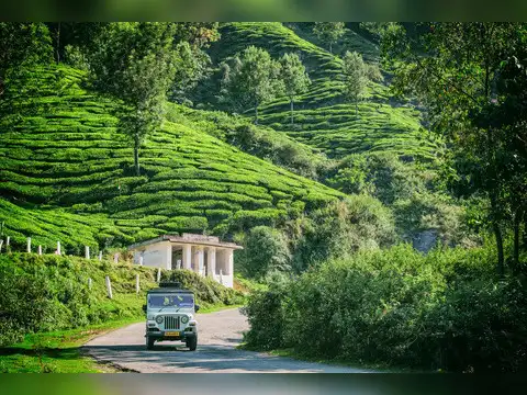 Munnar, Kerala &ndash; Misty Tea Gardens